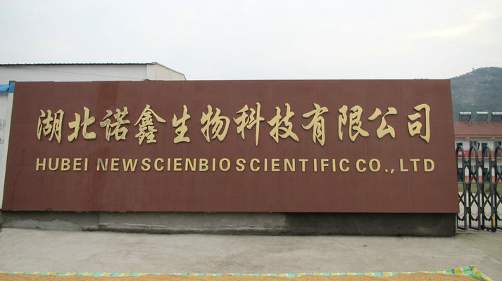 Company name